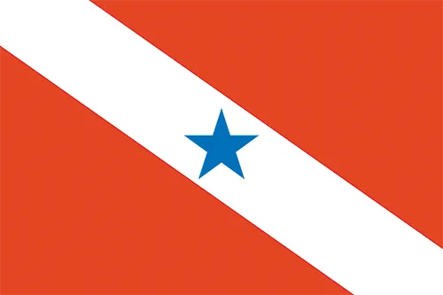 Bandeira do Estado Pará - PA